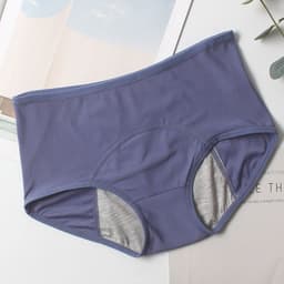 image-Fenghou High Waist Menstrual Period Leak-Proof Underwear Pants