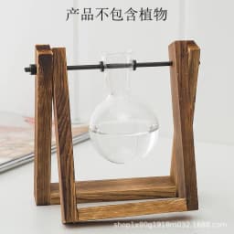 image-Borosilicate Glass Hydroponic Vase with Wooden Frame Desktop Decor