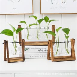 image-Borosilicate Glass Hydroponic Vase with Wooden Frame Desktop Decor