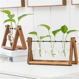 image-Borosilicate Glass Hydroponic Vase with Wooden Frame Desktop Decor