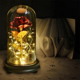 image-24k Gold Foil Rose with Glass Cover Valentine's Gift Decoration