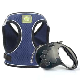 image-Dog Harness Vest Leash Set for Small Dogs Puppies