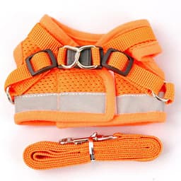 image-Dog Harness Vest Leash Set for Small Dogs Puppies