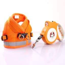 image-Dog Harness Vest Leash Set for Small Dogs Puppies