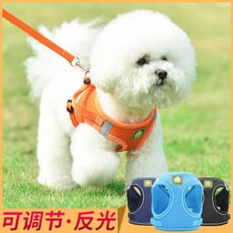 image-Dog Harness Vest Leash Set for Small Dogs Puppies
