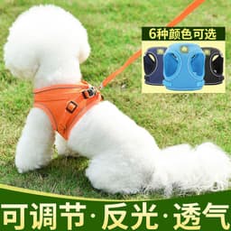 image-Dog Harness Vest Leash Set for Small Dogs Puppies
