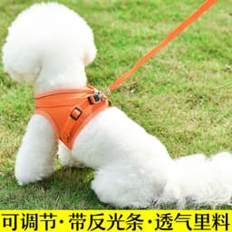 image-Dog Harness Vest Leash Set for Small Dogs Puppies