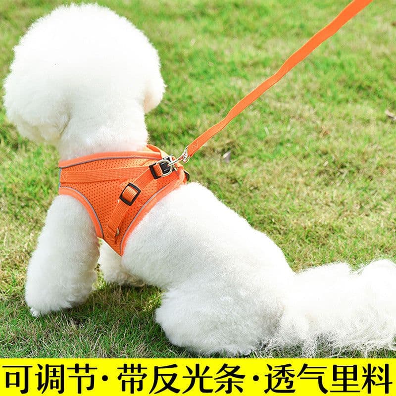 image-Dog Harness Vest Leash Set for Small Dogs Puppies