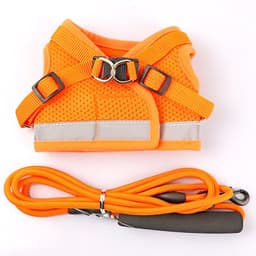 image-Dog Harness Vest Leash Set for Small Dogs Puppies