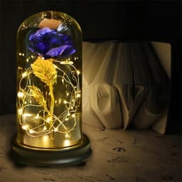 image-24k Gold Foil Rose in Glass Dome Valentine's Christmas Gift