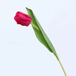 image-Lan Kwai Fong Artificial Tulip Bouquet Home Decor