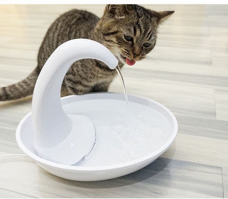 image-Pet Water Fountain Automatic Electric Dispenser for Cats Dogs
