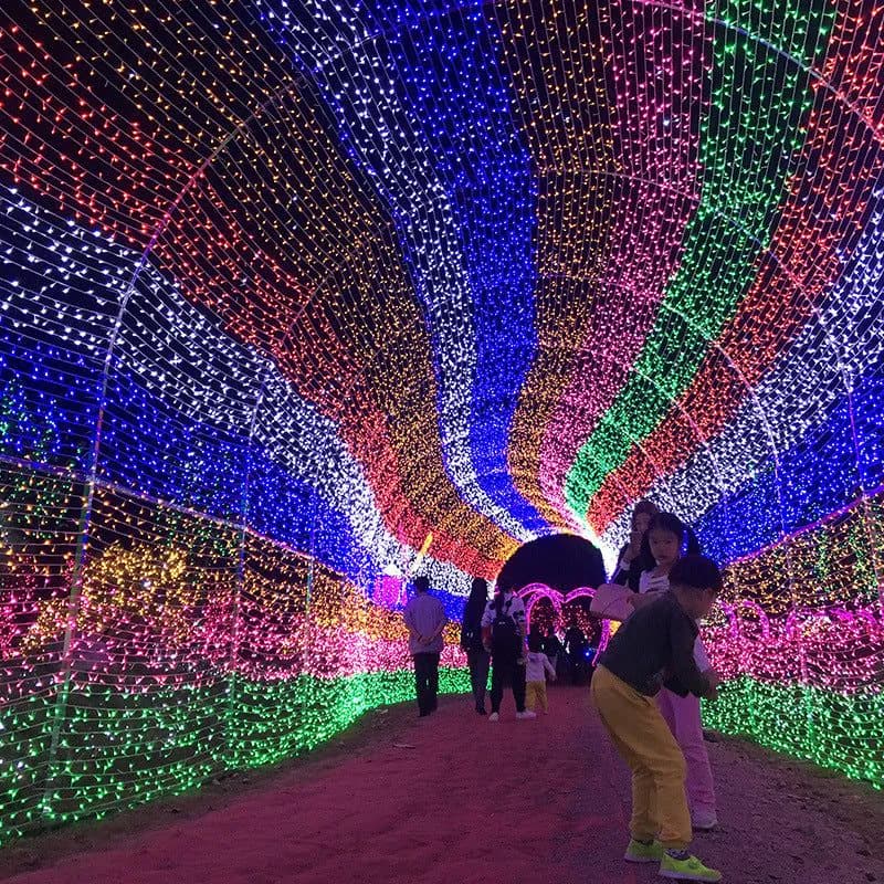 image-LED String Lights 100 LED 10M Wedding Festival Outdoor Decor