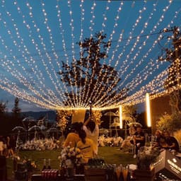 image-LED String Lights 100 LED 10M Wedding Festival Outdoor Decor