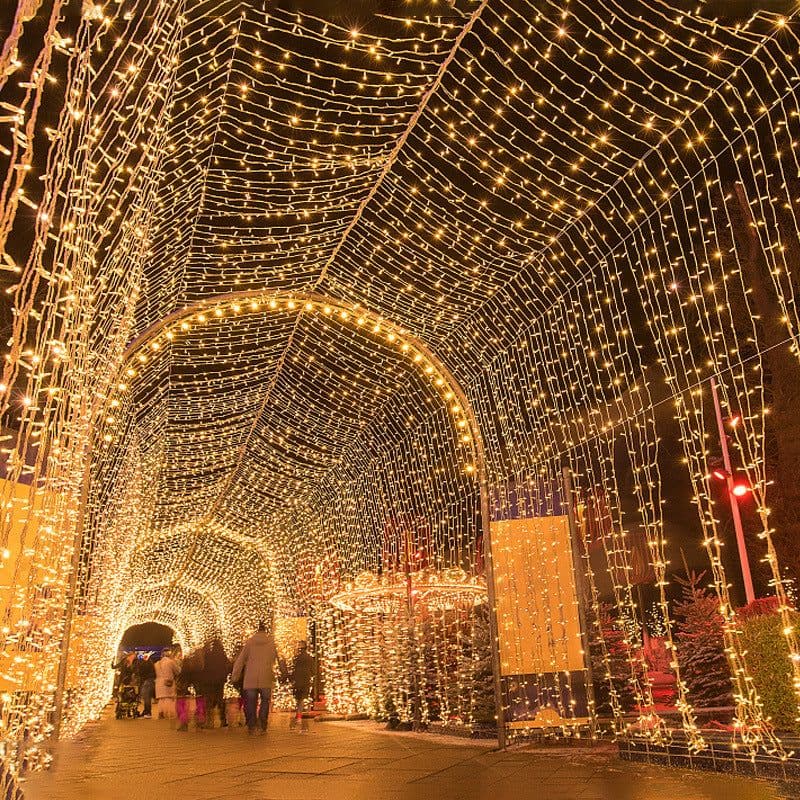 image-LED String Lights 100 LED 10M Wedding Festival Outdoor Decor