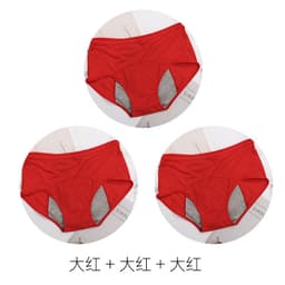 image-Chormien Women's Menstrual Period Briefs 3-Pack Leak-Proof Nylon
