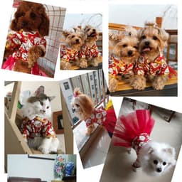 image-Pet Clothes Warm Festive Tang Suit Dog Cat Christmas Costume