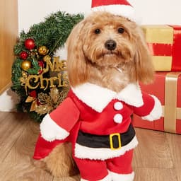 image-Santa Claus Dog Pet Costume Autumn Winter Dress