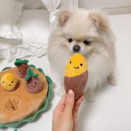 image-Spot Pet Toy Sweet Potato BB Squeaker Dog Toy Set