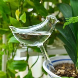 image-Cross-border wholesale bird glass watering device automatic dripping plant potted watering device creative lazy flower watering artifact