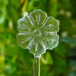 image-Cross-border wholesale bird glass watering device automatic dripping plant potted watering device creative lazy flower watering artifact