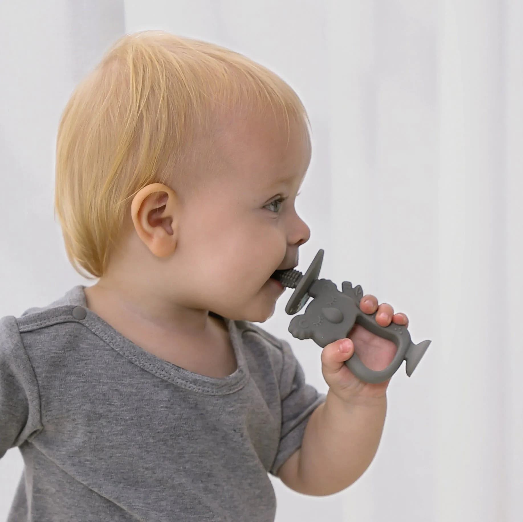 image-Infant Silicone Teether - Koala with Suction Cup