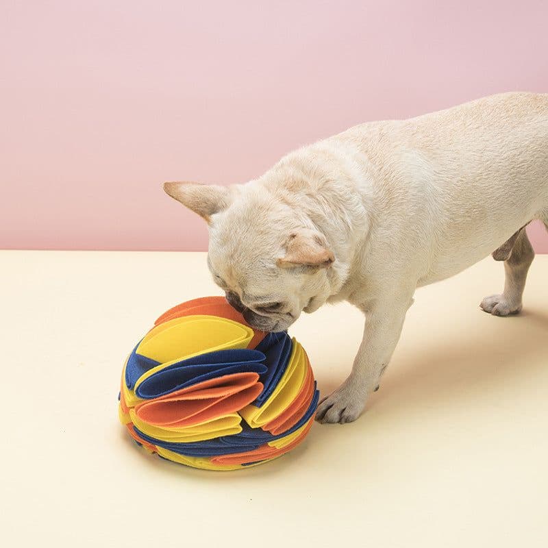 image-Source manufacturer dog sniff ball pet sniff ball sniff ball pet sniff ball