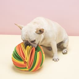 image-Source manufacturer dog sniff ball pet sniff ball sniff ball pet sniff ball