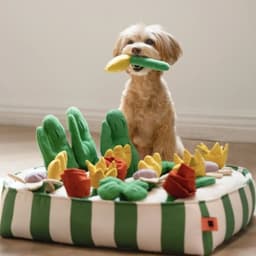 image-Pet Dog Food Leakage Educational Toys