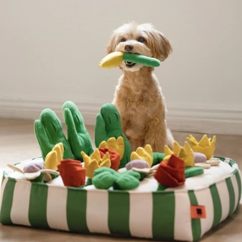 image-Pet Dog Food Leakage Educational Toys