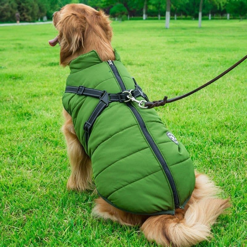 image-Dog Clothes Chest Back Integrated Cotton Vest Pet Cotton Clothes Winter Clothes