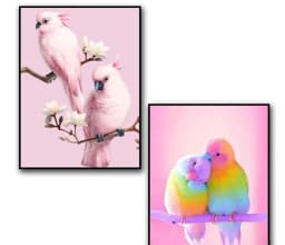 image-Rubik's Cube Round Diamond Parrot Diamond Painting Living Room Bedroom Brick Hot Decorative Painting