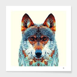 image-Wolf - Colorful Animals Frame