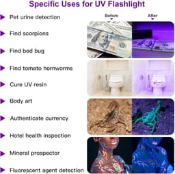 image-UV Flashlight LED Handheld Blacklight Flashlight Mini Light Torch Detector For Dog Pet Urine Stains Bed Bugs And Scorpions Batteries Not Included