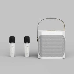 image-Dual Stereo Portable Karaoke