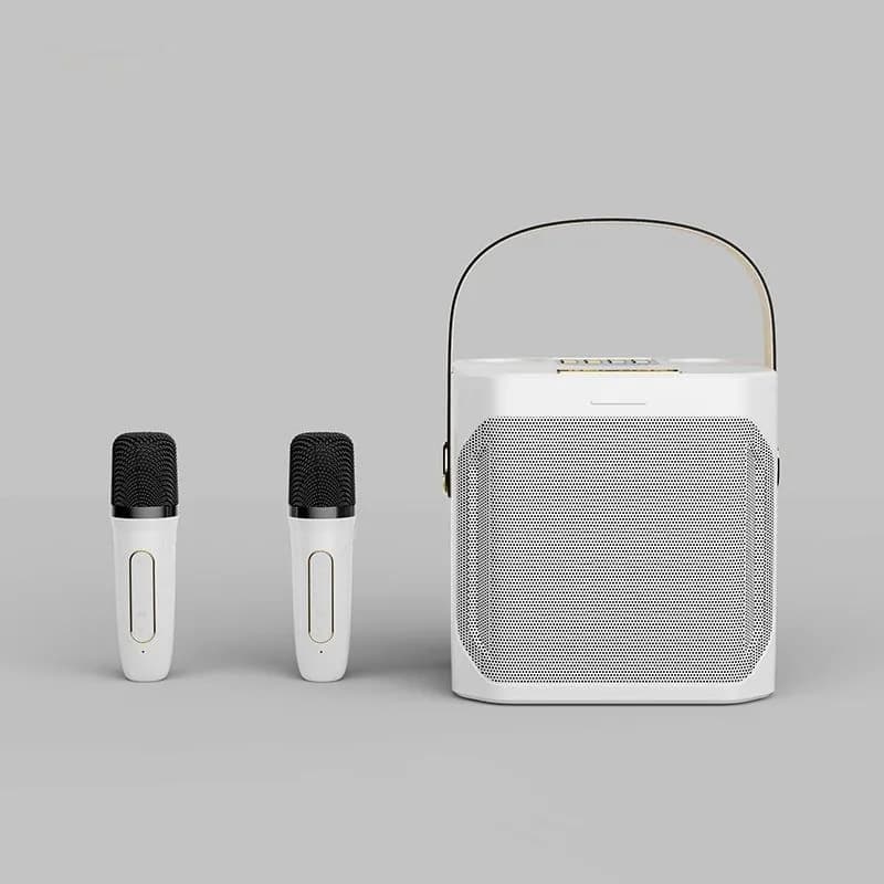 image-Dual Stereo Portable Karaoke