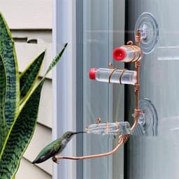 image-Garden Bird Feeder Supplies Hummingbird Feeder Drinker Suction Cup Easy To Clean Deck Garden Decor Bird Feeders for Wild Birds