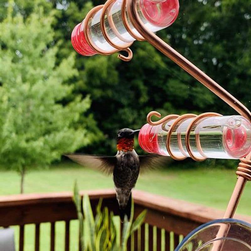 image-Garden Bird Feeder Supplies Hummingbird Feeder Drinker Suction Cup Easy To Clean Deck Garden Decor Bird Feeders for Wild Birds