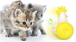image-Funny Cat Toy New Product Electric Sounding Tumbler Hair Laser Chicken Funny Cat Toy