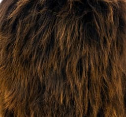image-Birch wood & Brown Sheepskin Ottoman