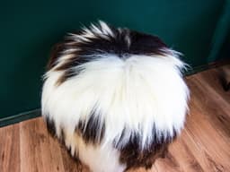 image-Birch Wood and real Jacob sheepskin Ottoman