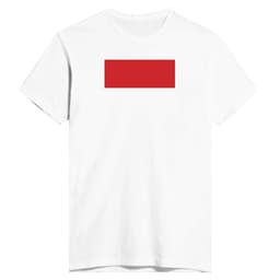 image-Drapeau de Monaco - T-shirt ajusté pour homme | Next Level 3600