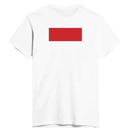 image-Drapeau de Monaco - T-shirt ajusté pour homme | Next Level 3600