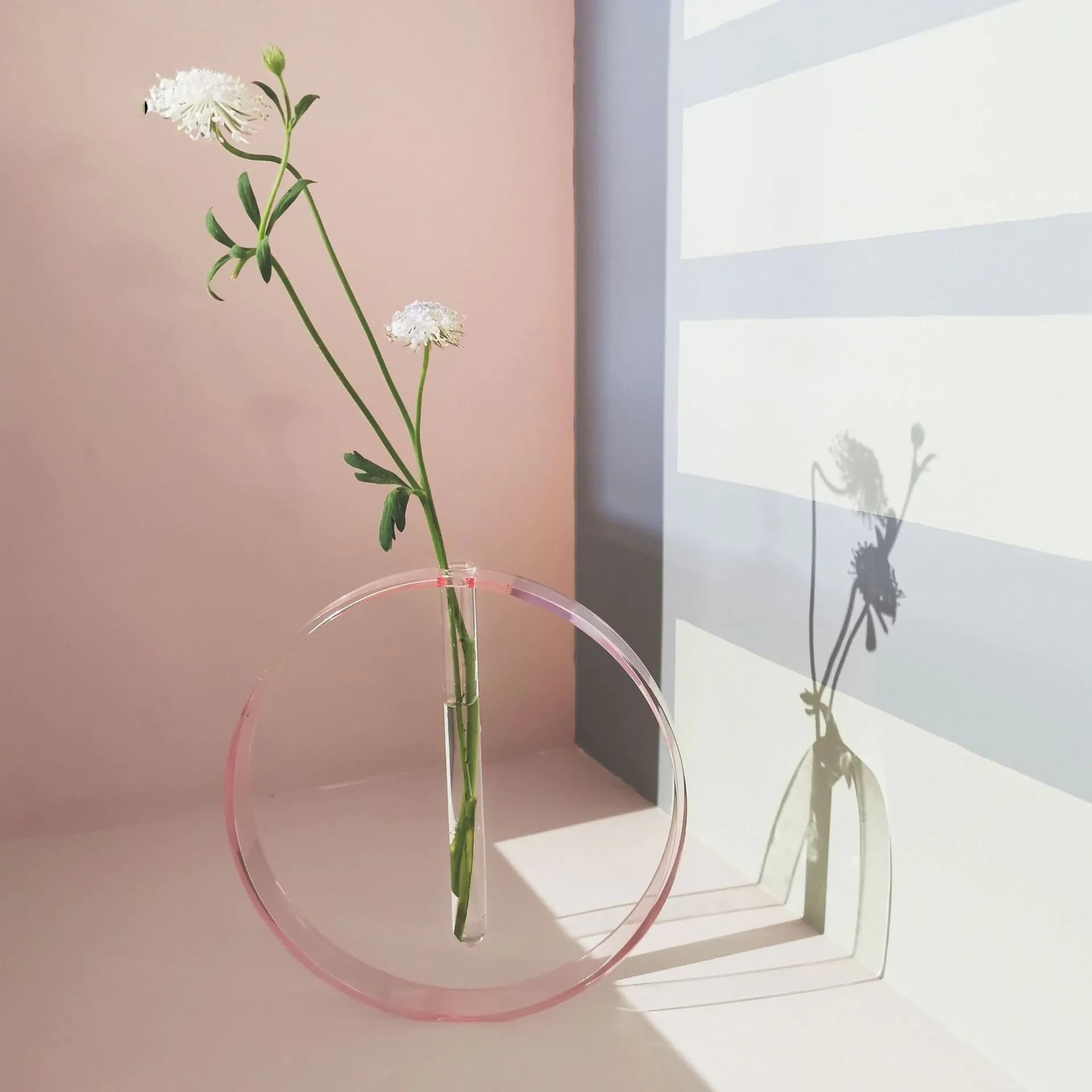 image-Acrylic Transparent Test Tube Vase Simple Decoration Ornaments