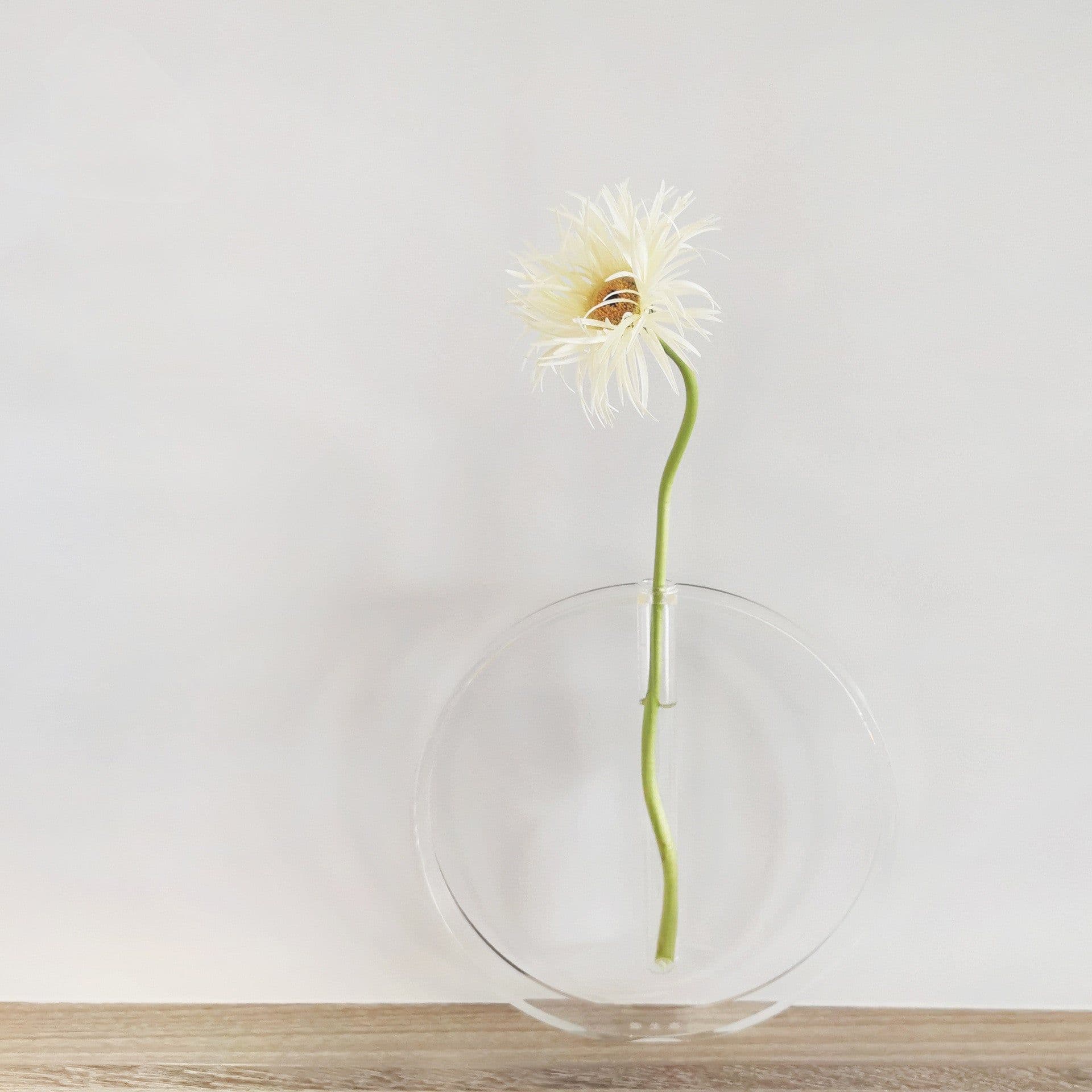 image-Acrylic Transparent Test Tube Vase Simple Decoration Ornaments