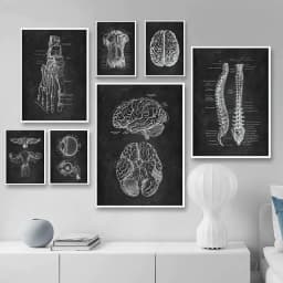 image-Canvas Painting Of Human Anatomy Skeleton Organ System