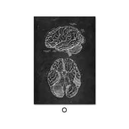 image-Canvas Painting Of Human Anatomy Skeleton Organ System