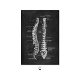 image-Canvas Painting Of Human Anatomy Skeleton Organ System