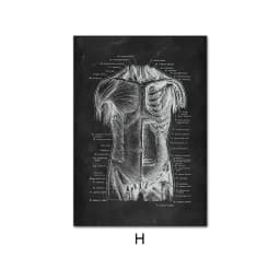 image-Canvas Painting Of Human Anatomy Skeleton Organ System
