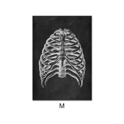 image-Canvas Painting Of Human Anatomy Skeleton Organ System